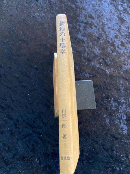和洋暦換算事典(釣洋一 著) / ミツバチブックス / 古本、中古本