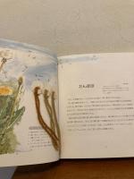 草木染随想 : おだまき工房にて
