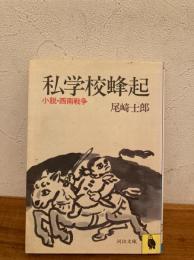 私学校蜂起 : 小説・西南戦争