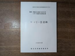 ケジⅠ・Ⅲ遺跡 : 竜郷一新奄美空港線の改良工事に伴う埋蔵文化財報告書