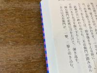 島原メシア戦記