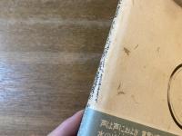 長沢哲夫詩集 手のひらに 虹の 長い尾羽根が まわっている
