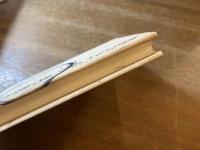 長沢哲夫詩集 手のひらに 虹の 長い尾羽根が まわっている