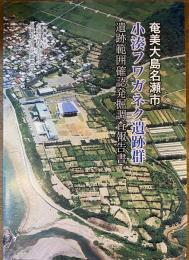 奄美大島名瀬市小湊フワガネク遺跡群遺跡範囲確認発掘調査報告書