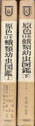 原色日本蛾類幼虫図鑑 上下巻揃