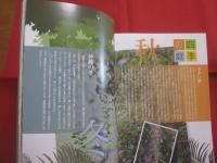 四季の光と風と雨とともに 　　   帆足ガーデンでブランチを  　　  帆足邦子　　  帆足邦子クッキングスタジオ  　　　　    【沖縄・琉球・食文化・料理・レシピ】