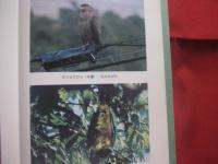 沖縄の秘境を探る    　　高良鉄夫　  著    　　琉球新報社  　発行   　　　　     【沖縄・琉球・歴史・文化・自然・生物・動物・植物・尖閣列島・西表島】