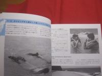 ＤＩＶＩＮＧ 　 ＭＡＮＵＡＬ　  Ｆｏｒ 　 Ｂｅｇｉｎｎｅｒｓ 　　 スキン・スクーバダイビング 　 マニュアル　　  入門編    　　　　   【マリンスポーツ・海洋レジャー】