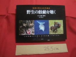 琉球の聖なる自然遺産  　　 野生の鼓動を聴く   　　この宝物をどう守り、どう引き継いでゆくのか    　　山城 博明　  著    　　      【沖縄・琉球・歴史・文化・自然・生物・動物・写真集】