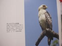 琉球の聖なる自然遺産  　　 野生の鼓動を聴く   　　この宝物をどう守り、どう引き継いでゆくのか    　　山城 博明　  著    　　      【沖縄・琉球・歴史・文化・自然・生物・動物・写真集】