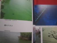 日本アオコ大図鑑    　　渡邊眞之 　著    　　誠文堂新光社 　発行   　　 定価　６，０００円＋税  　　　　     【自然・生物・藍藻類・環境】