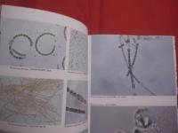 日本アオコ大図鑑    　　渡邊眞之 　著    　　誠文堂新光社 　発行   　　 定価　６，０００円＋税  　　　　     【自然・生物・藍藻類・環境】