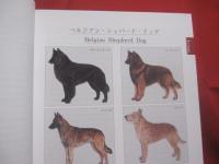 ＪＫＣ  　　全犬種標準書　　  第１２版　 　 ＪＡＰＡＮ　 　 ＫＥＮＮＥＬ　  　ＣＬＵＢ　　  ＳＴＡＮＤＡＲＤＳ 　 　ＯＦ　　  ＴＨＥ  　　ＢＲＥＥＤＳ  　　Ｔｗｅｌｆｔｈ　  Ｅｄｉｔｉｏｎ  　　一般社団法人　 ジャパンケネルクラブ　 発行   　　　　        【動物・生物・生きもの・ペット・知識】