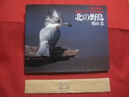 野生の瞬間 Ⅱ　  北の野鳥  　　ＢＩＲＤＳ　  ＯＦ 　 ＨＯＫＫＡＩＤＯ 　　   嶋田 忠　 著　    　平凡社 　発行 　　   自筆署名・落款入り  　　　　      【自然・生物・動物・鳥類・写真集】