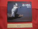 野生の瞬間 Ⅱ　  北の野鳥  　　ＢＩＲＤＳ　  ＯＦ 　 ＨＯＫＫＡＩＤＯ 　　   嶋田 忠　 著　    　平凡社 　発行 　　   自筆署名・落款入り  　　　　      【自然・生物・動物・鳥類・写真集】