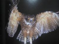 野生の瞬間 Ⅱ　  北の野鳥  　　ＢＩＲＤＳ　  ＯＦ 　 ＨＯＫＫＡＩＤＯ 　　   嶋田 忠　 著　    　平凡社 　発行 　　   自筆署名・落款入り  　　　　      【自然・生物・動物・鳥類・写真集】