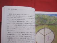 ぬてぃぬかーら  どぅなん 　　   いのち湧く島・与那国  　　  和歌嵐香 Ｎ子　  著 　　   総合地球環境学研究所 　 発行　　　　       【沖縄・琉球・歴史・文化・離島・先島諸島】