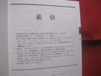 八重山を読む 　　 島々の本の事典 　　   八重山本の中に見える八重山の過去・現在・未来   　　 シリーズ八重山に立つ　 Ｎｏ．２  　　  三木健　 著 　　   南山舎　 発行  　　　　    【沖縄・琉球・歴史・文化・離島・先島諸島】