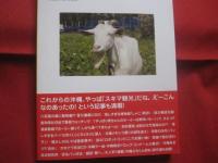 カベルナリア吉田の   　沖縄バカ一代   　　   街角ノンキ写真４００連発！      　　文 ・ 写真 　カベルナリア吉田 　　     林檎プロモーション　 発行     　　    【沖縄・琉球・歴史・文化】