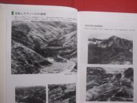沖縄県緑化運動６５年史  　　  編集・発行  　公益社団法人　 沖縄県緑化推進委員会    　　制作・印刷　  琉球新報社　　　　      【沖縄・琉球・歴史・文化】
