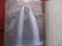 環太平洋インナーネット紀行  　　  モンゴロイド系先住民の叡智   　　 星川 淳 　著  　　  ＮＴＴ出版 　発行   　　　　     【ベーリンジア・コロラド高原・イロコイ連邦・オーストラリア・環太平洋カヌー文化圏・屋久島・生命讃歌】