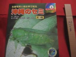 ☆生態写真と鳴き声で知る　　　 沖縄のセミ 全１９種　　　　 綴じ込み付録CD　：　沖縄のセミ１９種類の鳴き声収録　　　　　　　　 【沖縄・琉球・生物・昆虫・自然】
