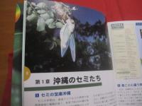 ☆生態写真と鳴き声で知る　　　 沖縄のセミ 全１９種　　　　 綴じ込み付録CD　：　沖縄のセミ１９種類の鳴き声収録　　　　　　　　 【沖縄・琉球・生物・昆虫・自然】