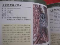 ☆生態写真と鳴き声で知る　　　 沖縄のセミ 全１９種　　　　 綴じ込み付録CD　：　沖縄のセミ１９種類の鳴き声収録　　　　　　　　 【沖縄・琉球・生物・昆虫・自然】