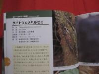 ☆生態写真と鳴き声で知る　　　 沖縄のセミ 全１９種　　　　 綴じ込み付録CD　：　沖縄のセミ１９種類の鳴き声収録　　　　　　　　 【沖縄・琉球・生物・昆虫・自然】