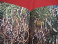 記憶の旅    Ｉ   Ｌｏｖｅ   Ｏｋｉｎａｗａ        夢のプレゼント     著者 ・ 装丁     すなべしょう            【沖縄・琉球・文化・写真集・風景】