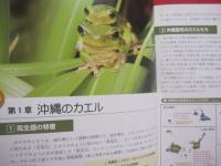 生態写真と鳴き声で知る    　　沖縄のカエル　　   全２０種      　　     綴じ込み付録CD　　   沖縄のカエル全種の鳴き声収録     　　　　     【琉球・生物・両生類・自然】