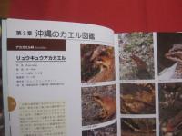 生態写真と鳴き声で知る    　　沖縄のカエル　　   全２０種      　　     綴じ込み付録CD　　   沖縄のカエル全種の鳴き声収録     　　　　     【琉球・生物・両生類・自然】