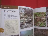 生態写真と鳴き声で知る    　　沖縄のカエル　　   全２０種      　　     綴じ込み付録CD　　   沖縄のカエル全種の鳴き声収録     　　　　     【琉球・生物・両生類・自然】