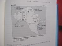 定本 　　 沖縄戦 　　 地上戦の実相    　　柏木俊道　 著   　　 彩流社　 発行 　　　　    【沖縄・琉球・歴史・太平洋戦争・第二次世界大戦】