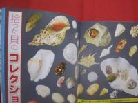 親子で楽しむ 　　      沖縄の潮干狩と磯遊び      　　  フィッシング沖縄社 　  発行           　　      【沖縄・琉球・自然・アウトドア・海洋レジャー】