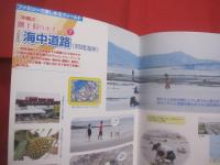 親子で楽しむ 　　      沖縄の潮干狩と磯遊び      　　  フィッシング沖縄社 　  発行           　　      【沖縄・琉球・自然・アウトドア・海洋レジャー】