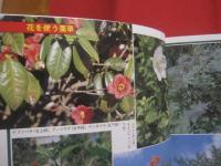 誰にでもできる薬草の利用法     　　 沖縄の薬草百科      　　やさしい煎じ方と飲み方 　　     カラー版    　　　　       【沖縄・琉球・自然・植物・健康・民間療法】