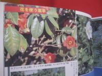 誰にでもできる薬草の利用法　　       おきなわの薬草百科　   （ 復刻版 ） 　　      沖縄の薬草百科 　　      やさしい煎じ方と飲み方     　　        【沖縄・琉球・自然・植物・健康・民間療法】
