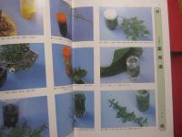 琉球料理全書 　　       全３巻      　　    著者  　 松本嘉代子        　　 編集   発行 　  新星図書    　　    定価   ２８，７００円   　　          【沖縄・琉球・歴史・食文化・家庭料理・レシピ集】