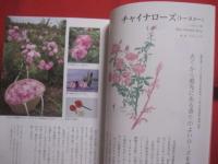 沖縄  　八重山発　　  南の島のハーブ  　　  嵩西洋子　 著   　　 南山舎 　発行 　　　　    【沖縄・琉球・歴史・食文化・自然・植物・香草】