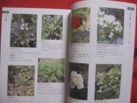 沖縄  　八重山発　　  南の島のハーブ  　　  嵩西洋子　 著   　　 南山舎 　発行 　　　　    【沖縄・琉球・歴史・食文化・自然・植物・香草】