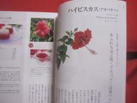 沖縄  　八重山発　　  南の島のハーブ  　　  嵩西洋子　 著   　　 南山舎 　発行 　　　　    【沖縄・琉球・歴史・食文化・自然・植物・香草】