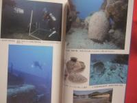 沖縄の水中文化遺産  　　青い海に沈んだ歴史のカケラ    　　南西諸島水中文化遺産研究会　  編  　　  ボーダーインク 　 発行 　　　　     【沖縄・琉球・歴史・文化】