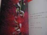 写真絵本　　    幸せの赤いさがり花 　　   虹の向こうからの贈りもの  　　  月としこ　  著  　　  ボーダーインク　  発行 　　   サイン本  　　　　    【沖縄・琉球・植物・写真集】