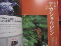 華麗なる水辺のハンター　　  カワセミ 　　 ヤマセミ  　　アカショウビン  　　ＢＩＲＤＥＲ 　　 ＳＰＥＣＩＡＬ  　　  文一総合出版　 発行  　　　　    【自然・生物・動物・鳥類】