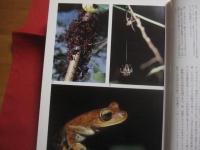 クストー  　　アマゾンの旅　　  偽りの楽園　　    ジャック＝イブ・クストー 　　 モーズ・リチャーズ 　 著   　　 開高 健　  監修  　　 柴田都志子  　訳  　　 光文社  　発行 　　　　      【自然・生物・動物・植物・環境・写真本】