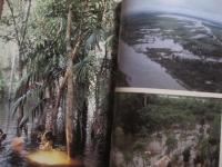 クストー  　　アマゾンの旅　　  偽りの楽園　　    ジャック＝イブ・クストー 　　 モーズ・リチャーズ 　 著   　　 開高 健　  監修  　　 柴田都志子  　訳  　　 光文社  　発行 　　　　      【自然・生物・動物・植物・環境・写真本】