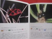 沖縄昆虫野外観察図鑑  　　第３巻　　  半翅目  　　双翅目 　 　膜翅目 　 　脈翅目    　　編著 　東  清二　　　　共著   　  堀  繁久  　   金城  政勝  　   湊  和雄    　 村山  望 　    上杉  兼司　　　　沖縄出版　　発行　　　　         【沖縄・琉球・自然・生物・昆虫】