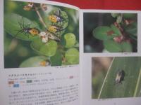 沖縄昆虫野外観察図鑑  　　第３巻　　  半翅目  　　双翅目 　 　膜翅目 　 　脈翅目    　　編著 　東  清二　　　　共著   　  堀  繁久  　   金城  政勝  　   湊  和雄    　 村山  望 　    上杉  兼司　　　　沖縄出版　　発行　　　　         【沖縄・琉球・自然・生物・昆虫】