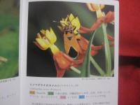 沖縄昆虫野外観察図鑑  　　第３巻　　  半翅目  　　双翅目 　 　膜翅目 　 　脈翅目    　　編著 　東  清二　　　　共著   　  堀  繁久  　   金城  政勝  　   湊  和雄    　 村山  望 　    上杉  兼司　　　　沖縄出版　　発行　　　　         【沖縄・琉球・自然・生物・昆虫】